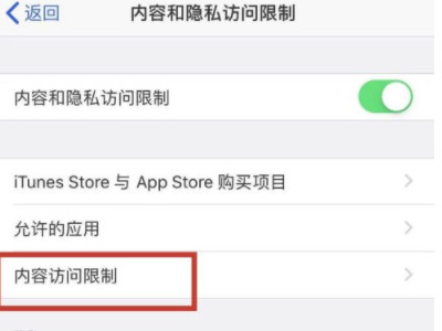 苹果手机访问限制没有了第5步