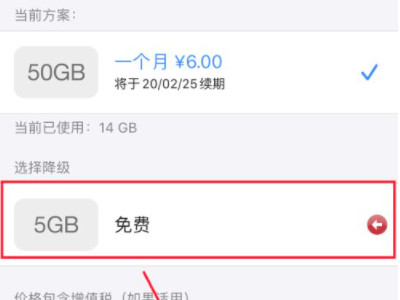 icloud存储6元取消不了第7步