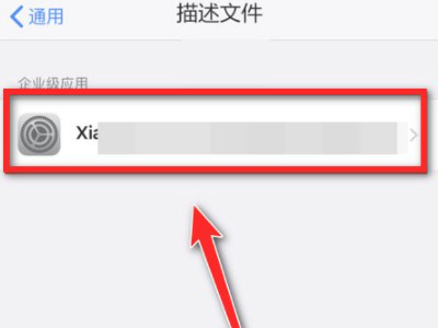 苹果手机如何恢复设备管理第3步
