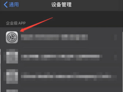 ios安装无法验证完整性第4步