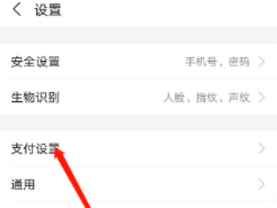 支付宝100以下免密怎么开启第4步