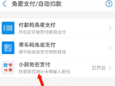支付宝100以下免密怎么开启第6步