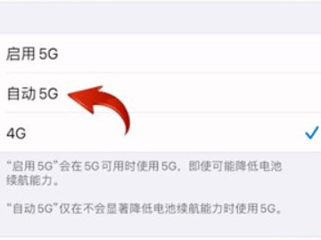 苹果124g5g怎么切换第5步