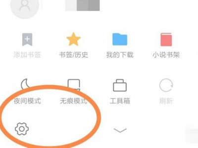 手机浏览器cookie怎么开启第3步