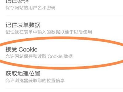 手机浏览器cookie怎么开启第5步