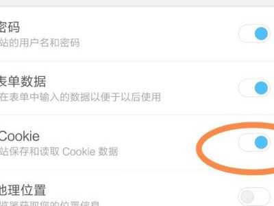 手机浏览器cookie怎么开启第6步