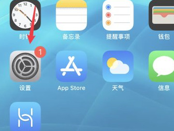 苹果手机怎么开数据第2步