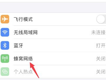 苹果手机怎么开数据第3步
