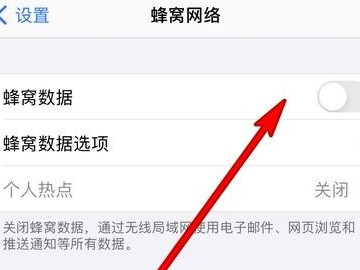 苹果手机怎么开数据第4步