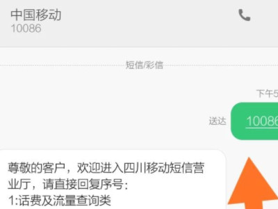 移动密码怎么重置密码第2步