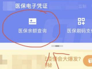 手机查医保卡余额怎么查第3步