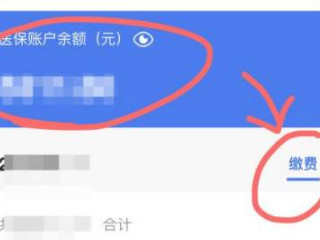手机查医保卡余额怎么查第4步