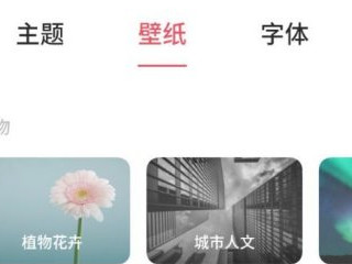 oppo手机怎么换壁纸第4步