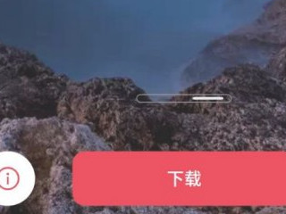 oppo手机怎么换壁纸第5步