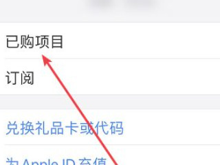 苹果手机下载记录在哪里找第3步