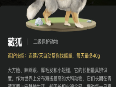 蚂蚁森林的藏狐怎么收能量第3步