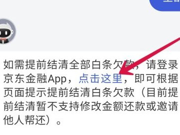 京东白条怎么一次性还清第5步