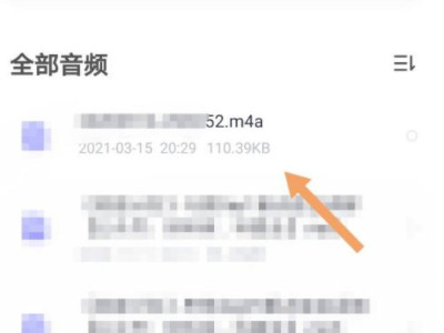 微信音频怎么保存到手机第6步