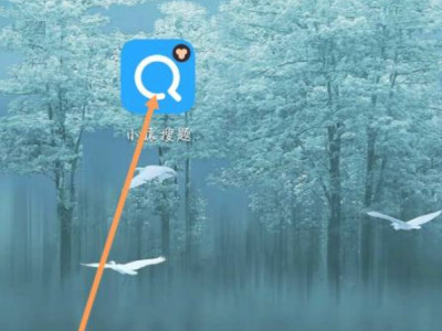 小猿搜题答主怎么申请第2步