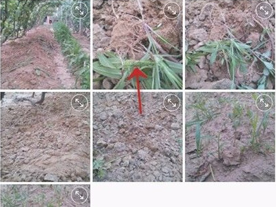 美图秀秀鲜明度在哪里调第3步