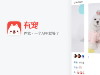 在什么平台上可以领养宠物第1步