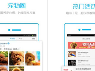 在什么平台上可以领养宠物第2步