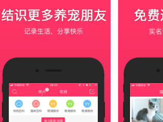 在什么平台上可以领养宠物第3步