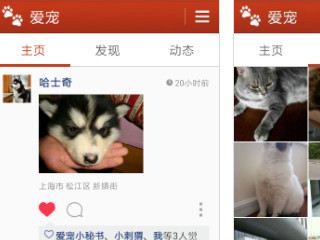 在什么平台上可以领养宠物第5步