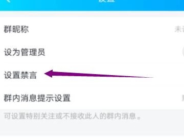 qq如何禁言一个人第5步