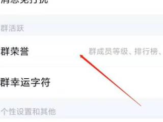 2021新版qq群头衔怎么设置第2步