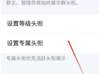 2021新版qq群头衔怎么设置第4步