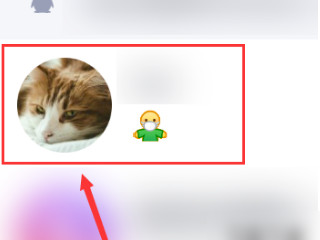 手机qq共享屏幕在哪第2步