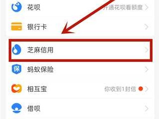 2021支付宝怎么刷芝麻粒第2步