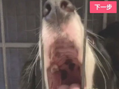 抖音转发的视频怎么变成自己的作品第4步