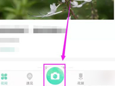 形色拍照识别花草第2步