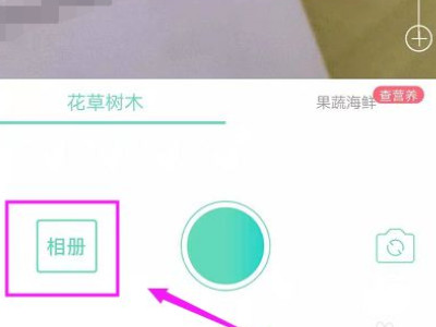 形色拍照识别花草第3步
