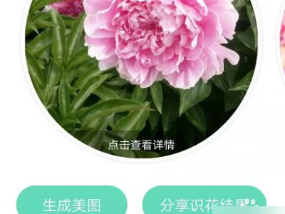 形色拍照识别花草第5步