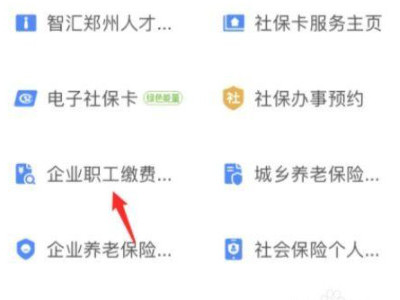 2021年支付宝查不了社保第3步