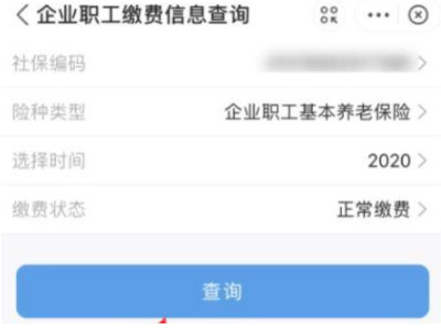 2021年支付宝查不了社保第4步