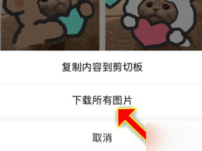 小红书头像怎么去水印第6步