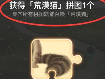 蚂蚁森林怎么领荒漠猫第4步