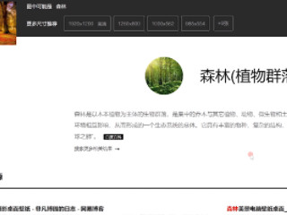 怎么找相似的图片搜索第3步