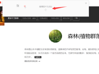 怎么找相似的图片搜索第4步