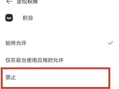积目怎么关闭在线状态第6步