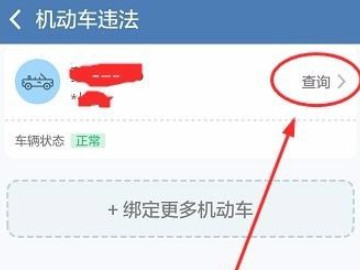 交管123123违章查询在哪第4步