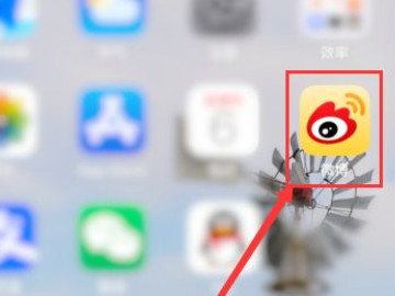 怎么看阳光信用第1步
