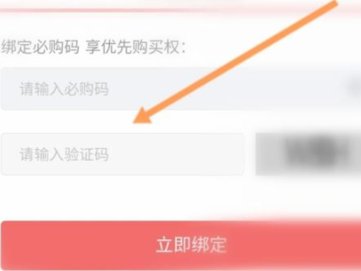 京东必购码入口第5步