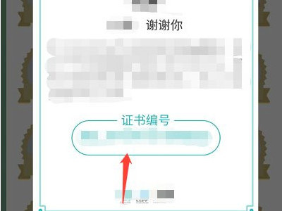 支付宝保护地怎么弄第5步