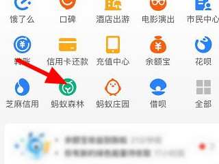 支付宝蚂蚁森林保护罩在哪里获取第1步