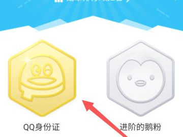qqq龄在哪看手机第5步